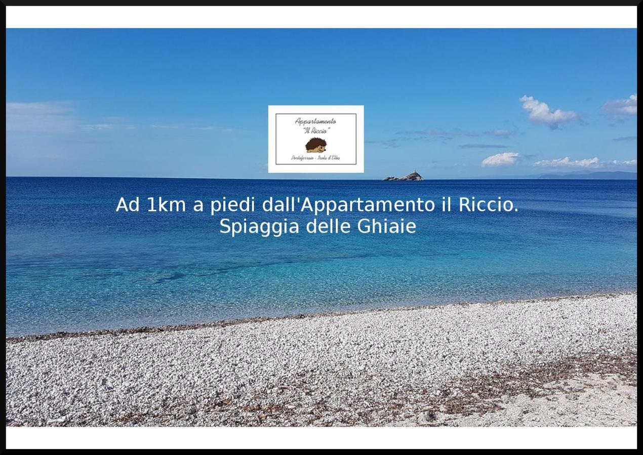 Il Riccio Apartament